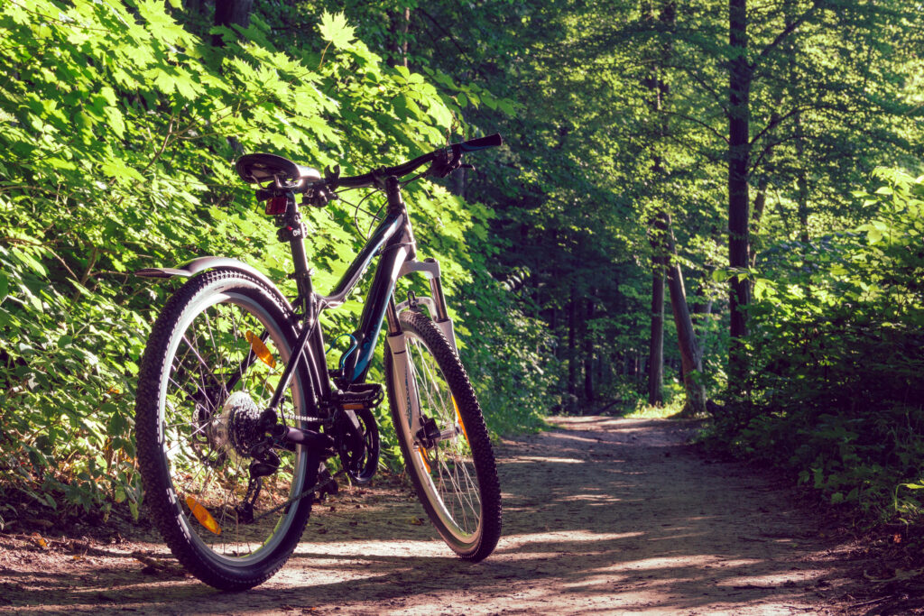 Female mountain bike in a green forest