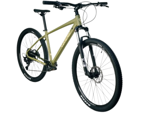 دوچرخه بزرگسال انرژی 2024 مدل exp1 سایز 29
